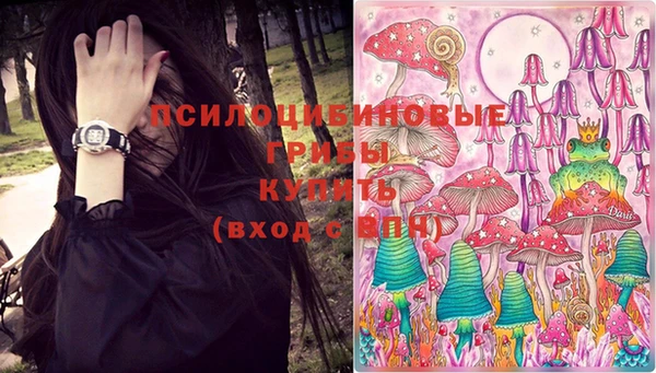 спиды Весьегонск