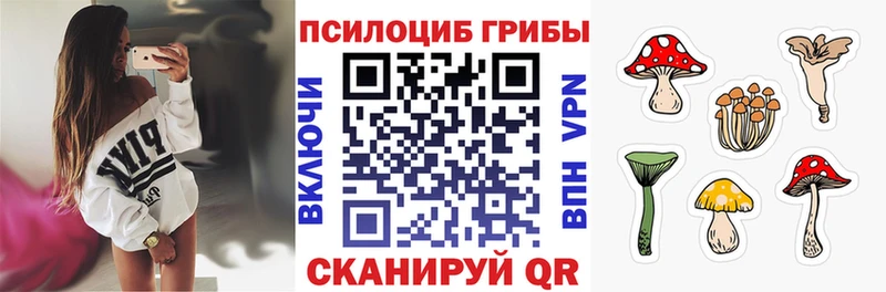 продажа наркотиков  Урюпинск  Псилоцибиновые грибы мухоморы 