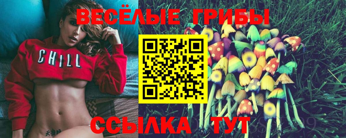 Псилоцибиновые грибы GOLDEN TEACHER  Вход с VPN  Урюпинск  Псилоцибиновые грибы MAGIC MUSHROOMS 